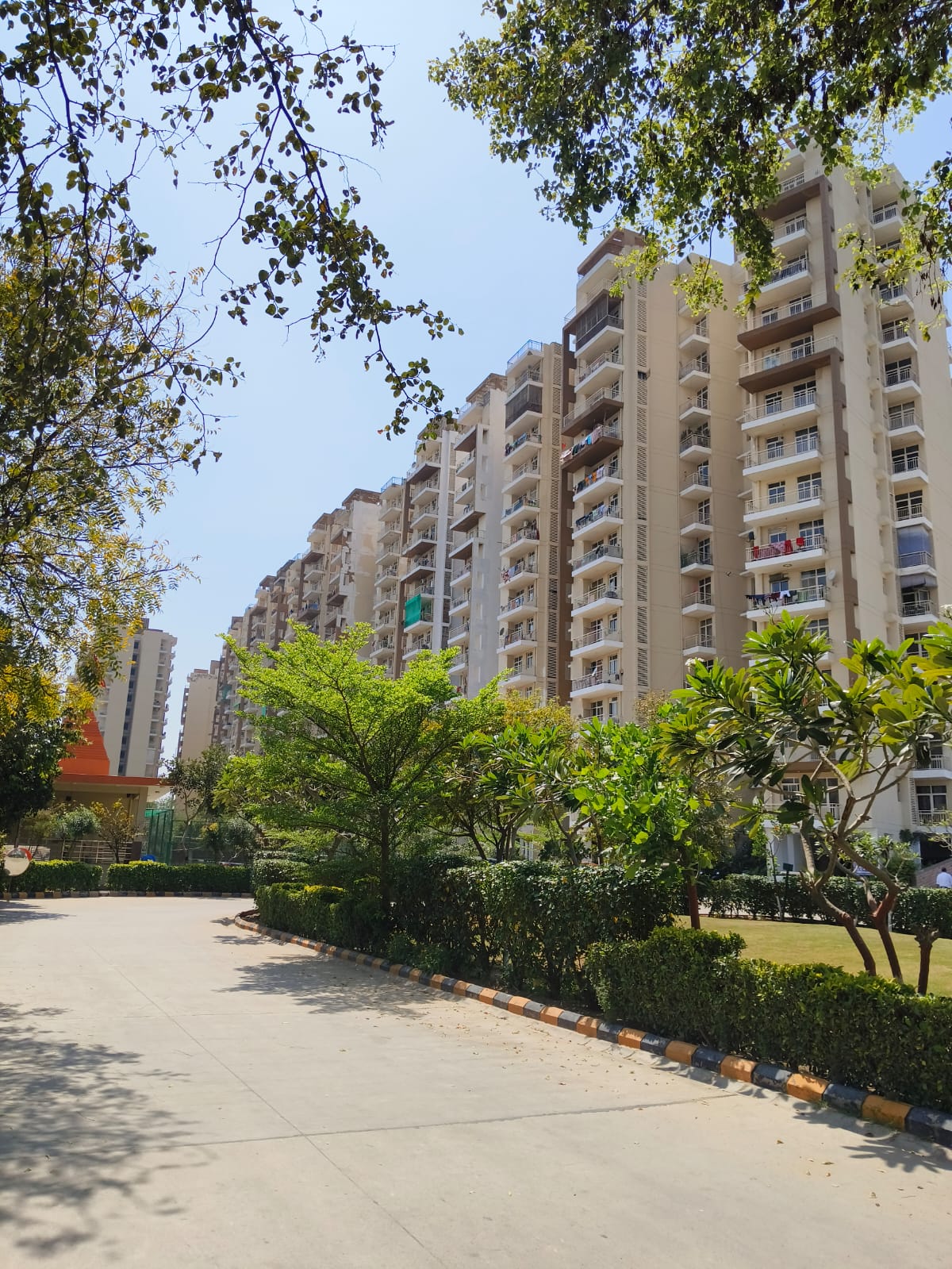 whatsapp image 2025 12 18 at 6.33.32 am